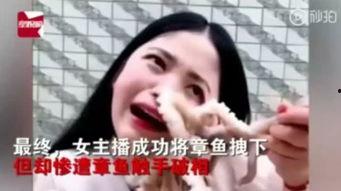 女网红章鱼直播婚礼,浪漫瞬间全网见证