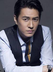 李戈演员个人资料,光影交织下的演艺人生