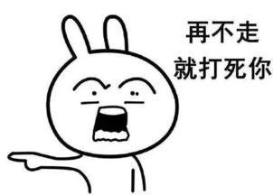 奇葩搞笑句子,那些让人捧腹大笑的奇葩搞笑句子大盘点