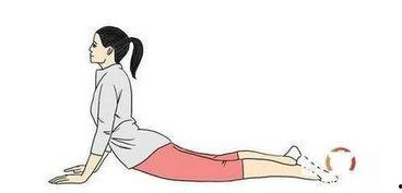 瘦肚子的动作图片,跟随瘦肚子动作图片，轻松打造平坦腹部