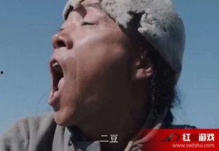 白鹿原二豆演员照片,光影交织，演绎经典