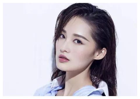 李姓明星有哪些,盘点娱乐圈中的璀璨星辰